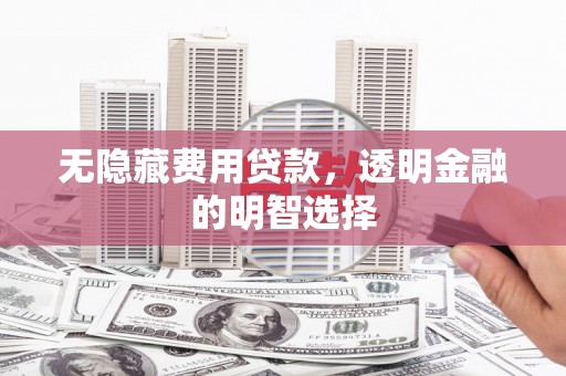 绿春无隐藏费用贷款，透明金融的明智选择