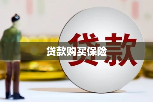 绿春贷款购买保险