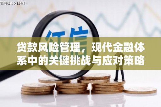 绿春贷款风险管理，现代金融体系中的关键挑战与应对策略