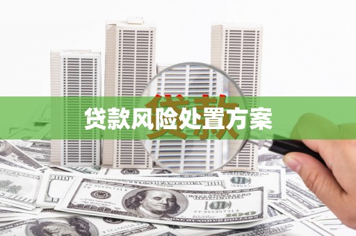 绿春贷款风险处置方案